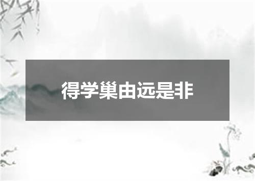 得学巢由远是非