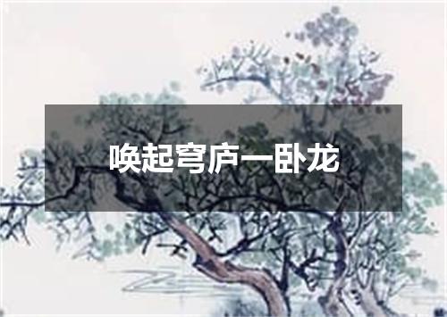 唤起穹庐一卧龙