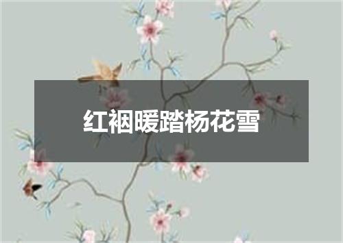 红裀暖踏杨花雪