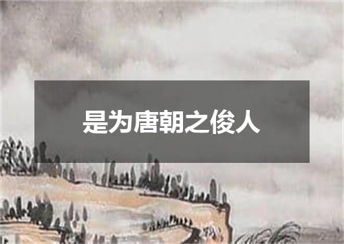 是为唐朝之俊人