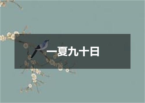 一夏九十日