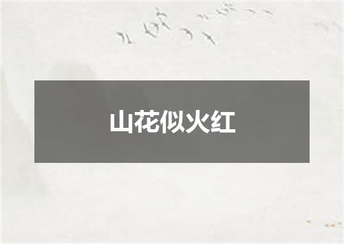山花似火红