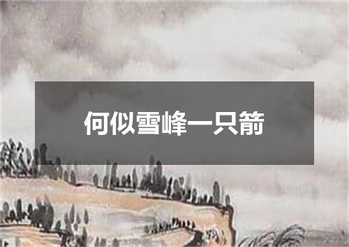 何似雪峰一只箭
