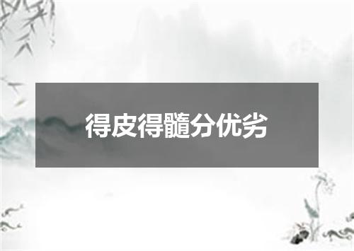 得皮得髓分优劣