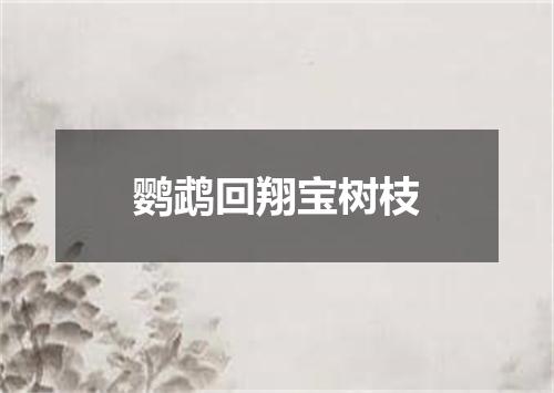 鹦鹉回翔宝树枝