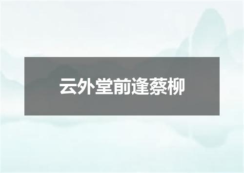 云外堂前逢蔡柳