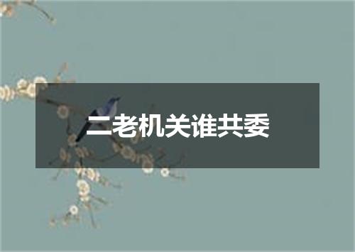 二老机关谁共委