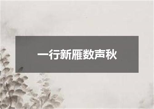 一行新雁数声秋