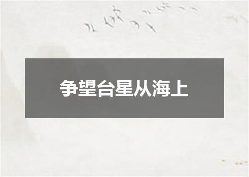 争望台星从海上