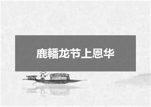 鹿轓龙节上恩华