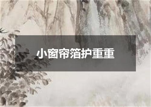 小窗帘箔护重重