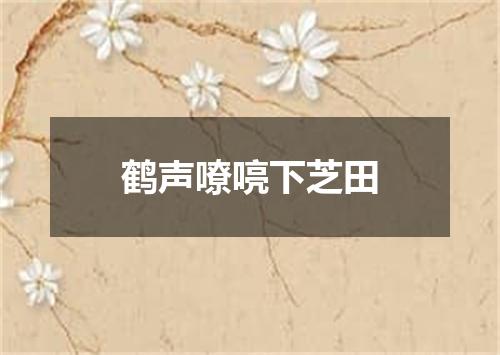 鹤声嘹喨下芝田