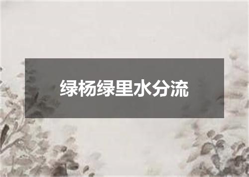 绿杨绿里水分流
