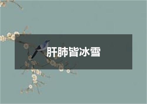 肝肺皆冰雪