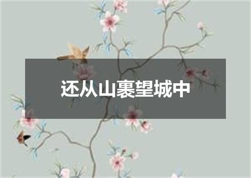 还从山裹望城中