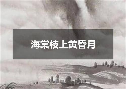 海棠枝上黄昏月