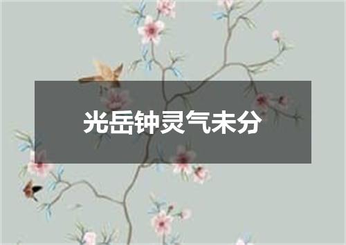 光岳钟灵气未分