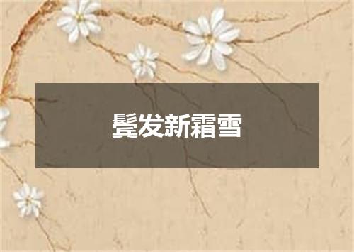 鬓发新霜雪