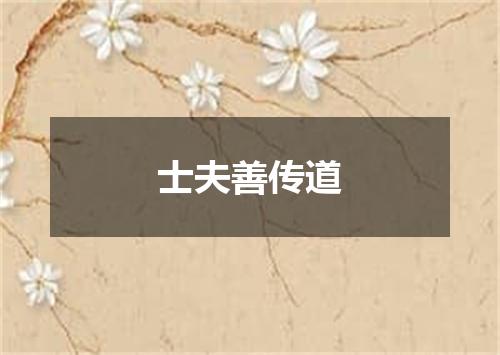 士夫善传道