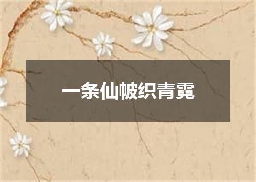 一条仙帔织青霓