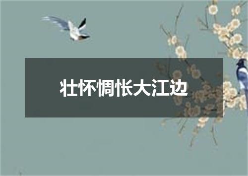 壮怀惆怅大江边