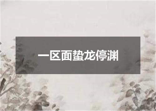 一区面蛰龙停渊