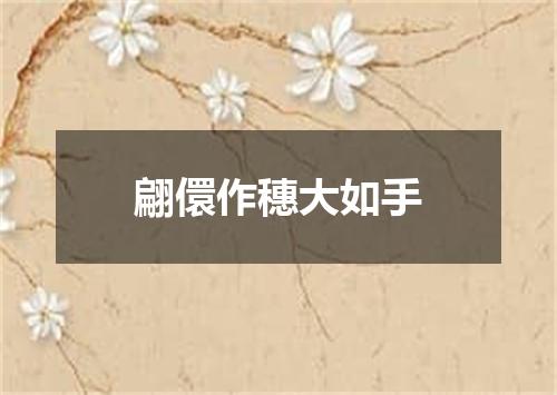 翩儇作穗大如手