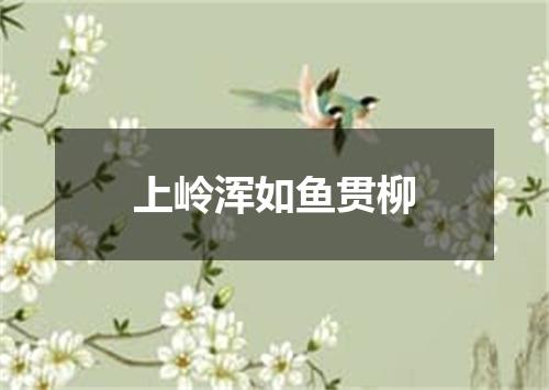 上岭浑如鱼贯柳