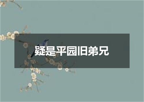 疑是平园旧弟兄