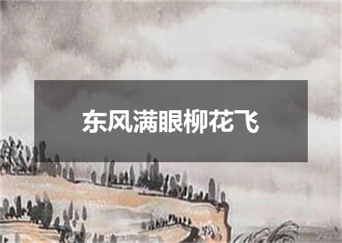 东风满眼柳花飞