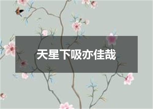 天星下吸亦佳哉