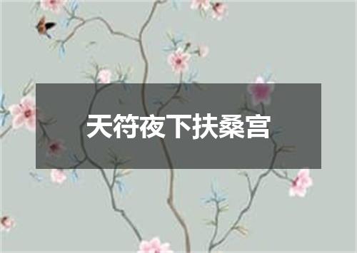 天符夜下扶桑宫