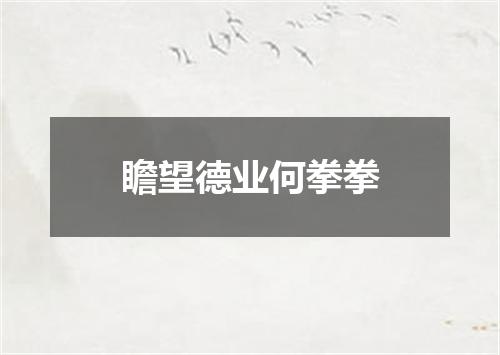 瞻望德业何拳拳