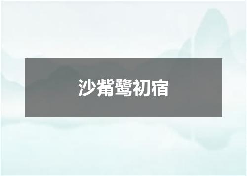 沙觜鹭初宿