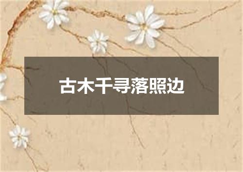 古木千寻落照边