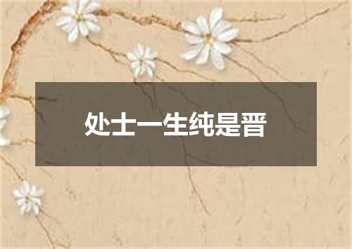 处士一生纯是晋