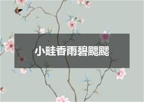 小畦香雨碧颸颸