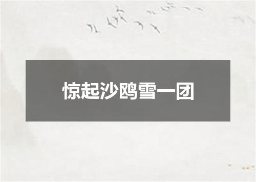 惊起沙鸥雪一团