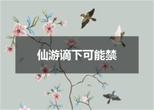 仙游谪下可能禁