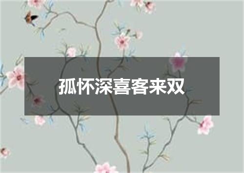 孤怀深喜客来双