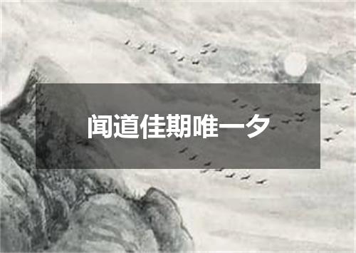 闻道佳期唯一夕