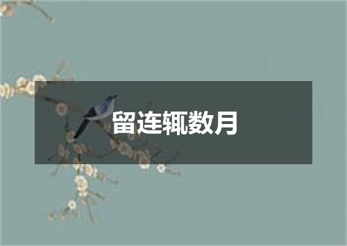 留连辄数月