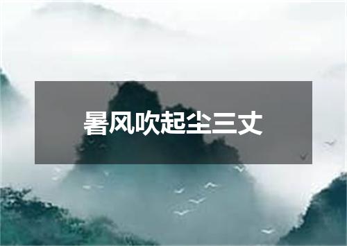 暑风吹起尘三丈