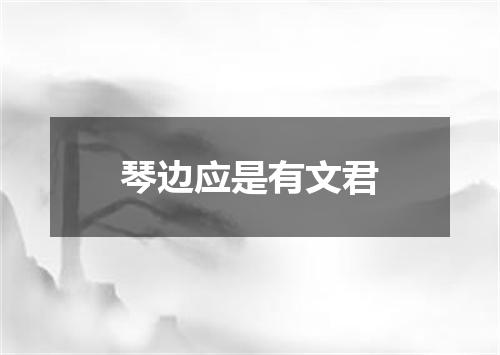 琴边应是有文君