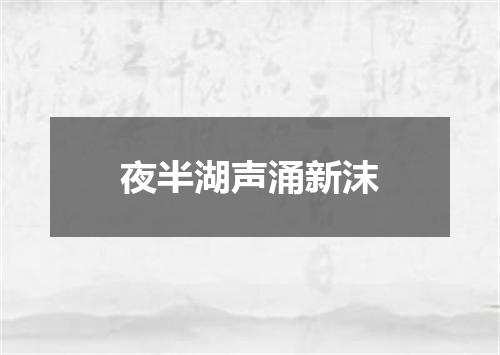 夜半湖声涌新沫