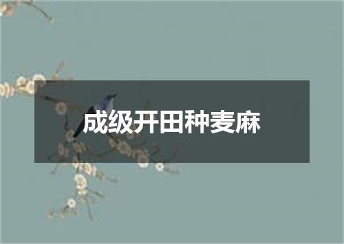 成级开田种麦麻