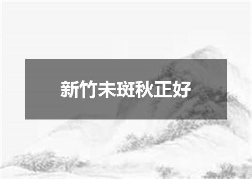 新竹未斑秋正好