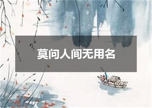 莫问人间无用名