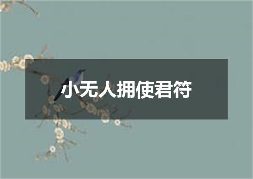 小无人拥使君符