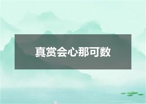 真赏会心那可数